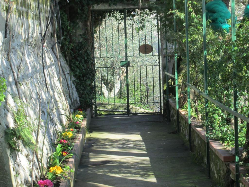 L'Uliveto Bed & Breakfast Positano Bagian luar foto