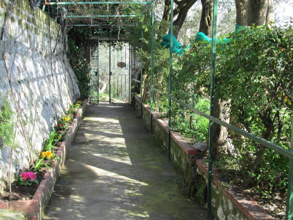L'Uliveto Bed & Breakfast Positano Bagian luar foto