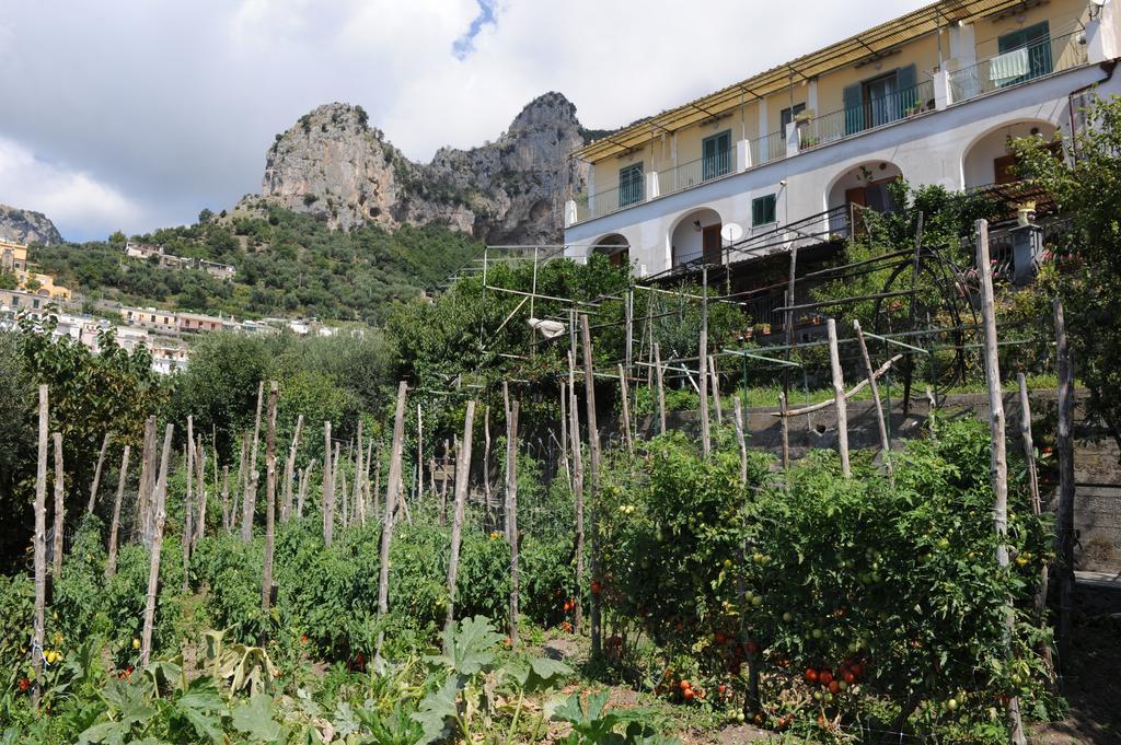L'Uliveto Bed & Breakfast Positano Bagian luar foto